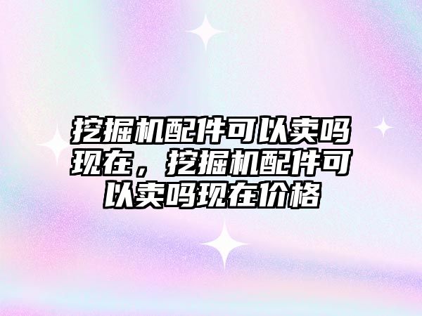 挖掘機配件可以賣嗎現在，挖掘機配件可以賣嗎現在價格