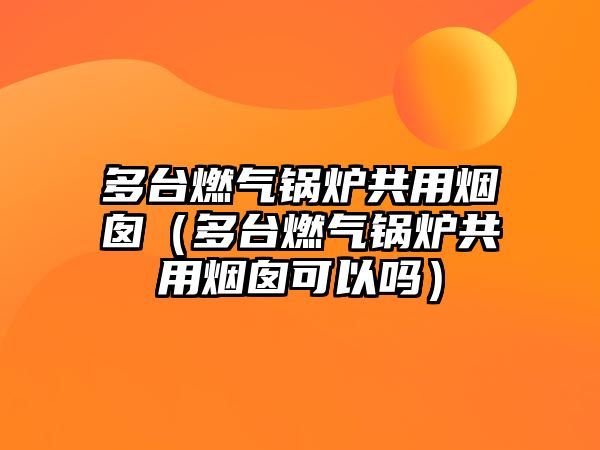 多臺燃?xì)忮仩t共用煙囪（多臺燃?xì)忮仩t共用煙囪可以嗎）