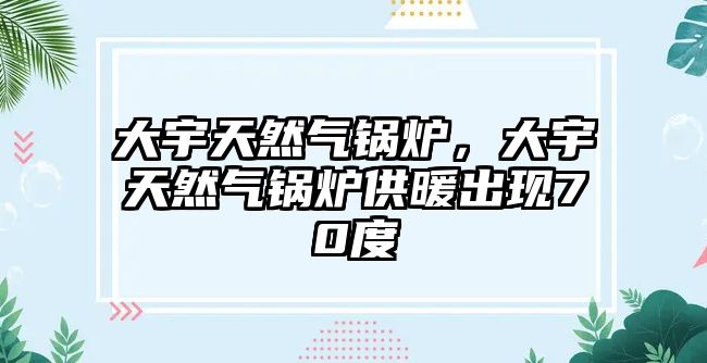 大宇天然氣鍋爐，大宇天然氣鍋爐供暖出現(xiàn)70度