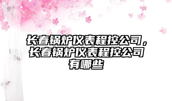 長春鍋爐儀表程控公司，長春鍋爐儀表程控公司有哪些