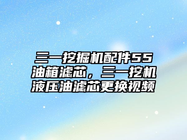 三一挖掘機(jī)配件55油箱濾芯，三一挖機(jī)液壓油濾芯更換視頻