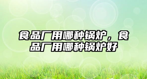 食品廠用哪種鍋爐，食品廠用哪種鍋爐好