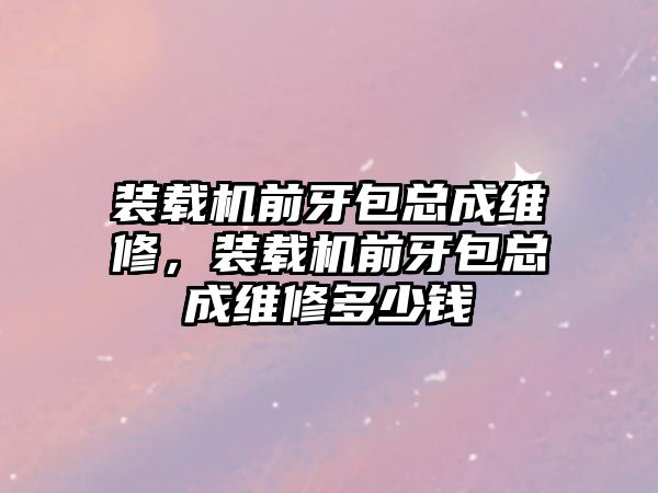 裝載機前牙包總成維修，裝載機前牙包總成維修多少錢