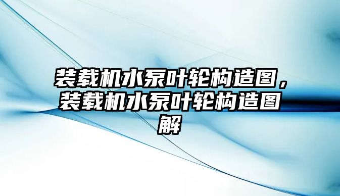 裝載機(jī)水泵葉輪構(gòu)造圖，裝載機(jī)水泵葉輪構(gòu)造圖解