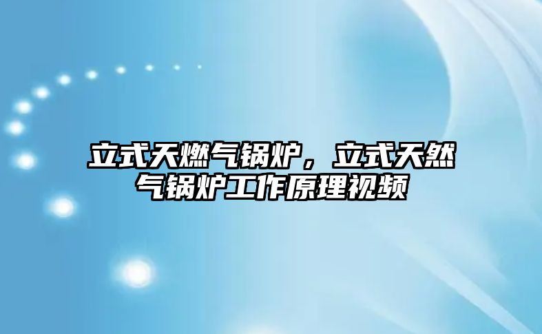 立式天燃?xì)忮仩t，立式天然氣鍋爐工作原理視頻