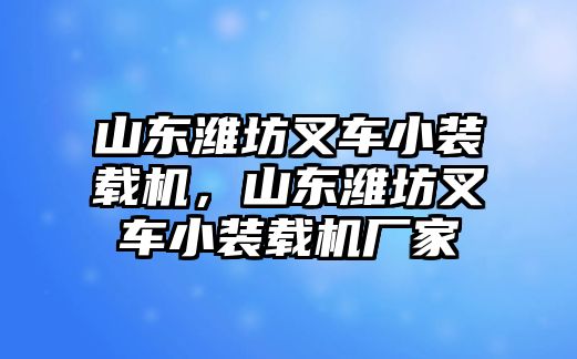 山東濰坊叉車小裝載機，山東濰坊叉車小裝載機廠家