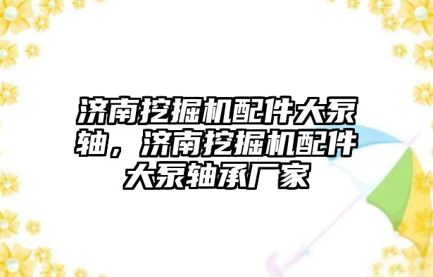 濟南挖掘機配件大泵軸，濟南挖掘機配件大泵軸承廠家