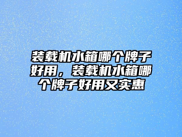 裝載機(jī)水箱哪個(gè)牌子好用，裝載機(jī)水箱哪個(gè)牌子好用又實(shí)惠