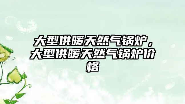 大型供暖天然氣鍋爐，大型供暖天然氣鍋爐價格