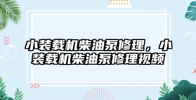 小裝載機(jī)柴油泵修理，小裝載機(jī)柴油泵修理視頻