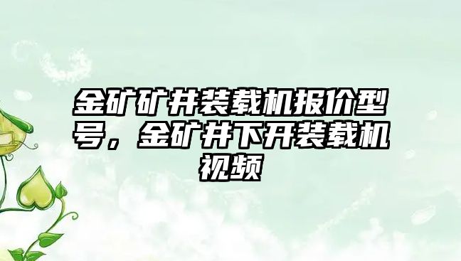 金礦礦井裝載機報價型號，金礦井下開裝載機視頻