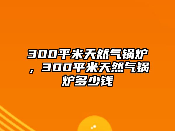 300平米天然氣鍋爐，300平米天然氣鍋爐多少錢