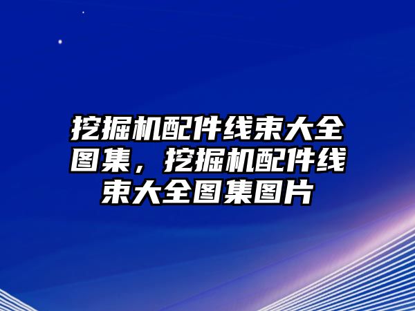 挖掘機(jī)配件線束大全圖集，挖掘機(jī)配件線束大全圖集圖片