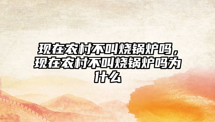 現(xiàn)在農(nóng)村不叫燒鍋爐嗎，現(xiàn)在農(nóng)村不叫燒鍋爐嗎為什么