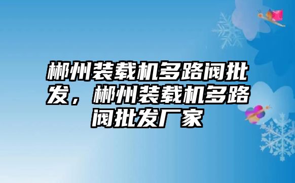 郴州裝載機(jī)多路閥批發(fā)，郴州裝載機(jī)多路閥批發(fā)廠家