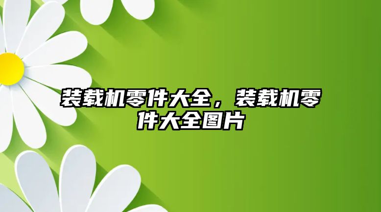 裝載機零件大全，裝載機零件大全圖片