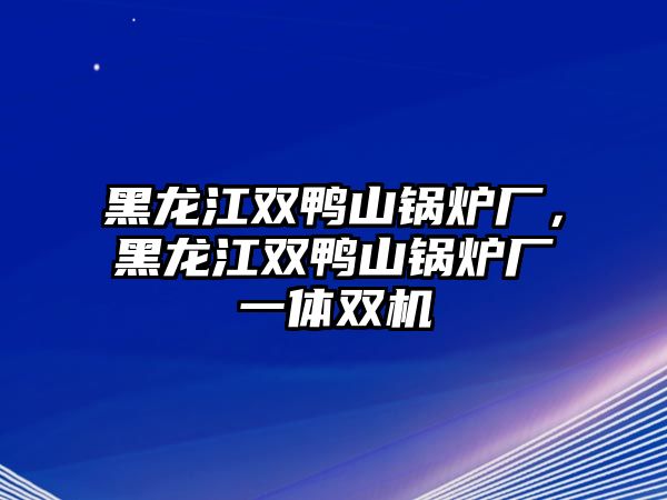 黑龍江雙鴨山鍋爐廠，黑龍江雙鴨山鍋爐廠一體雙機(jī)