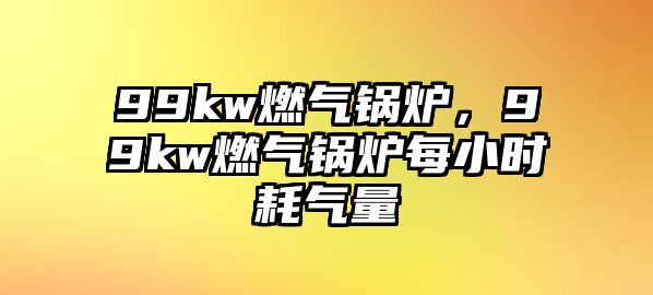 99kw燃?xì)忮仩t，99kw燃?xì)忮仩t每小時耗氣量