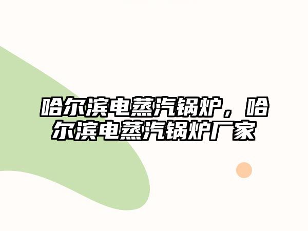 哈爾濱電蒸汽鍋爐，哈爾濱電蒸汽鍋爐廠家