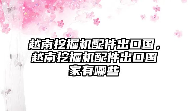 越南挖掘機配件出口國，越南挖掘機配件出口國家有哪些