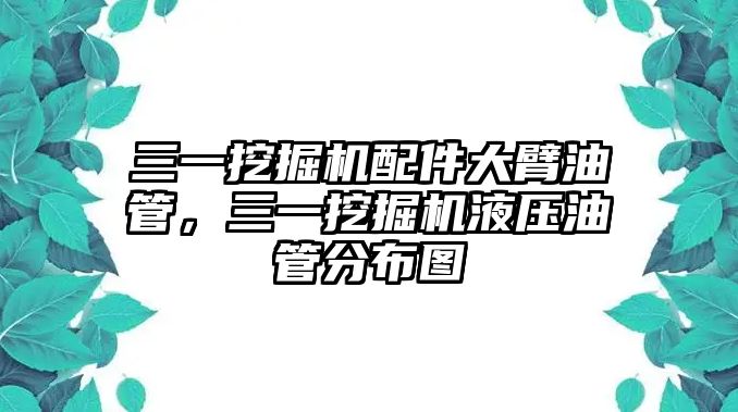 三一挖掘機(jī)配件大臂油管，三一挖掘機(jī)液壓油管分布圖