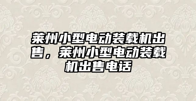 萊州小型電動裝載機出售，萊州小型電動裝載機出售電話