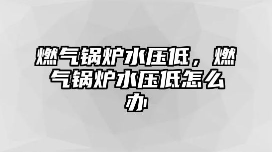 燃?xì)忮仩t水壓低，燃?xì)忮仩t水壓低怎么辦