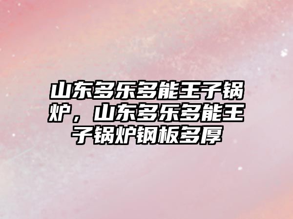 山東多樂多能王子鍋爐，山東多樂多能王子鍋爐鋼板多厚