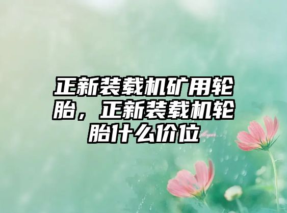 正新裝載機(jī)礦用輪胎，正新裝載機(jī)輪胎什么價(jià)位