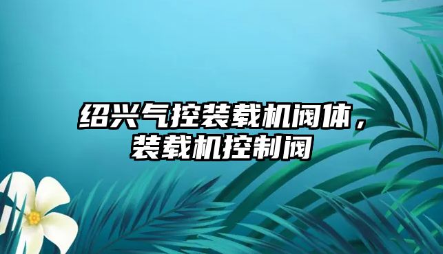 紹興氣控裝載機閥體，裝載機控制閥