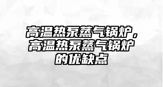 高溫?zé)岜谜魵忮仩t，高溫?zé)岜谜魵忮仩t的優(yōu)缺點(diǎn)