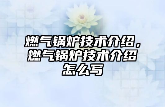 燃?xì)忮仩t技術(shù)介紹，燃?xì)忮仩t技術(shù)介紹怎么寫