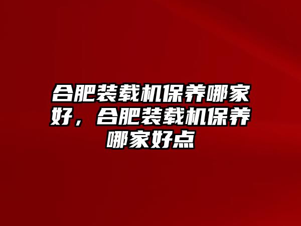 合肥裝載機保養(yǎng)哪家好，合肥裝載機保養(yǎng)哪家好點