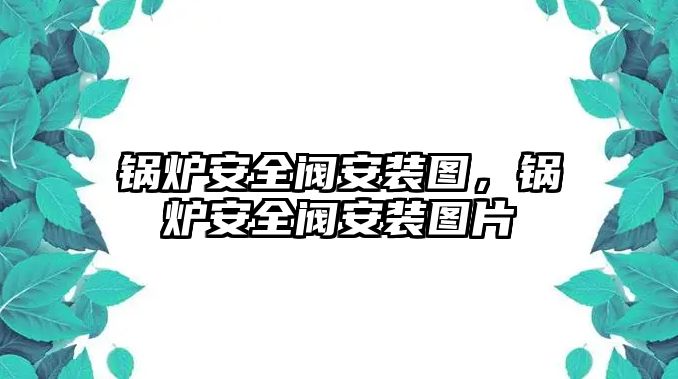 鍋爐安全閥安裝圖，鍋爐安全閥安裝圖片