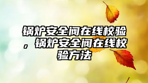 鍋爐安全閥在線校驗，鍋爐安全閥在線校驗方法