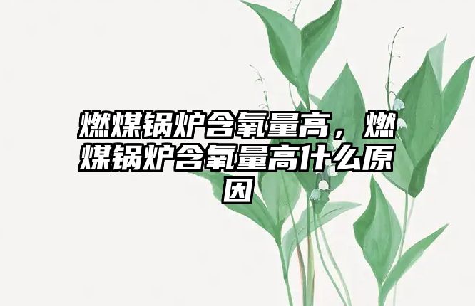 燃煤鍋爐含氧量高，燃煤鍋爐含氧量高什么原因