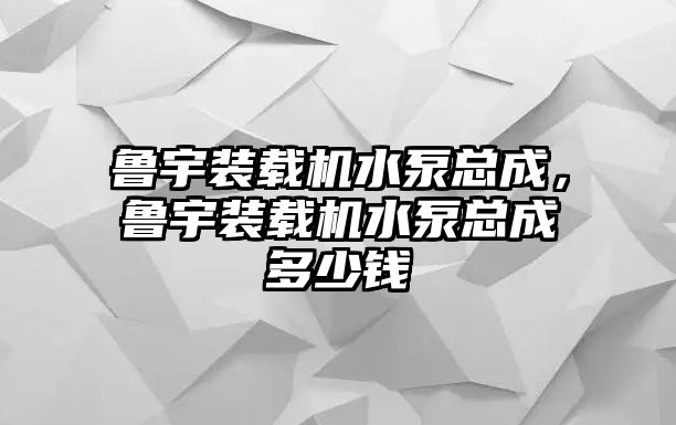 魯宇裝載機水泵總成，魯宇裝載機水泵總成多少錢