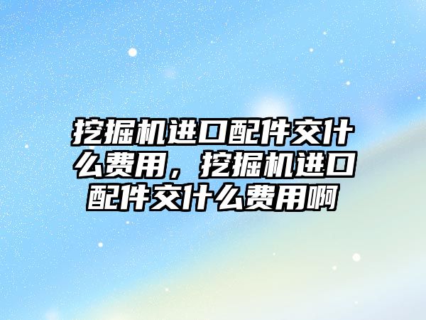 挖掘機進口配件交什么費用，挖掘機進口配件交什么費用啊