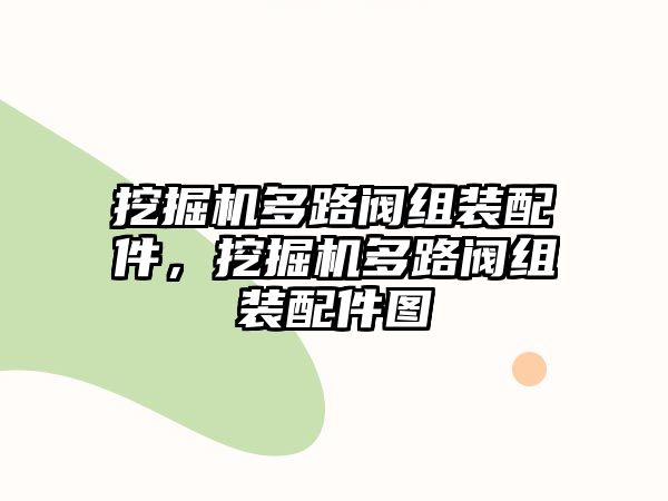 挖掘機多路閥組裝配件，挖掘機多路閥組裝配件圖