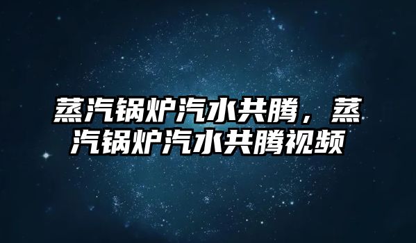 蒸汽鍋爐汽水共騰，蒸汽鍋爐汽水共騰視頻