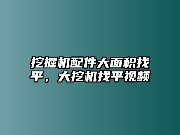 挖掘機(jī)配件大面積找平，大挖機(jī)找平視頻