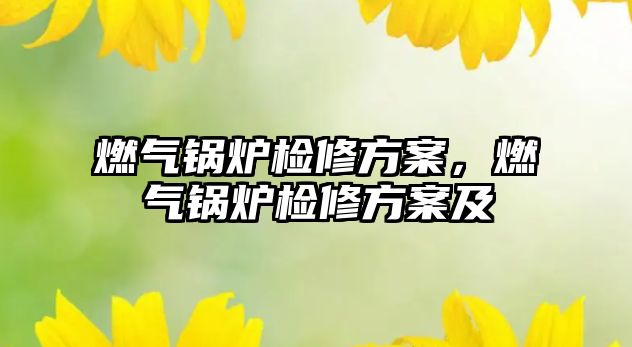 燃?xì)忮仩t檢修方案，燃?xì)忮仩t檢修方案及