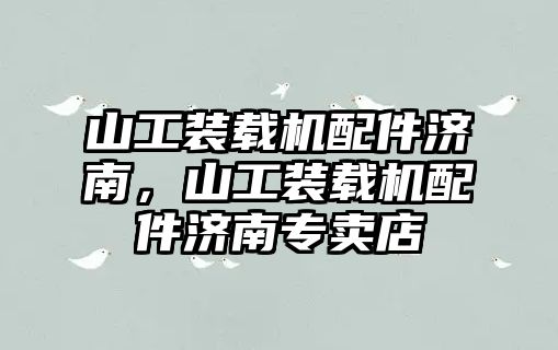 山工裝載機(jī)配件濟(jì)南，山工裝載機(jī)配件濟(jì)南專賣店