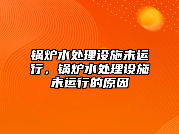 鍋爐水處理設施未運行，鍋爐水處理設施未運行的原因