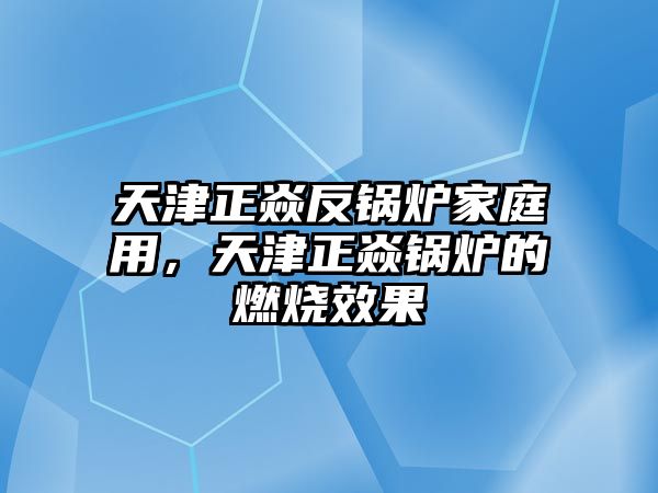 天津正焱反鍋爐家庭用，天津正焱鍋爐的燃燒效果