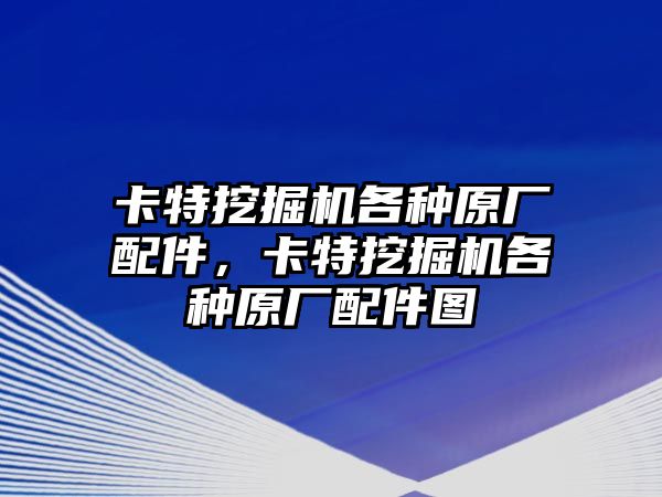 卡特挖掘機(jī)各種原廠配件，卡特挖掘機(jī)各種原廠配件圖