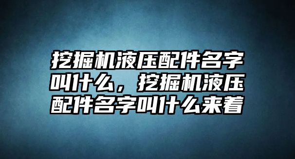 挖掘機(jī)液壓配件名字叫什么，挖掘機(jī)液壓配件名字叫什么來(lái)著