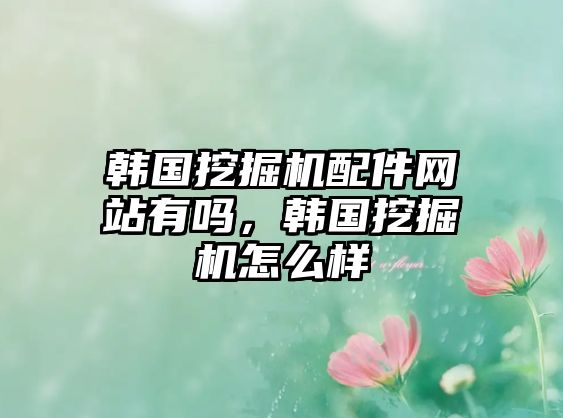 韓國挖掘機配件網(wǎng)站有嗎，韓國挖掘機怎么樣