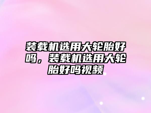 裝載機選用大輪胎好嗎，裝載機選用大輪胎好嗎視頻