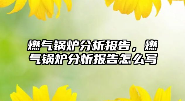 燃氣鍋爐分析報告，燃氣鍋爐分析報告怎么寫